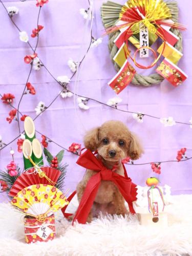 20230109モカちゃん